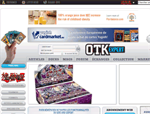 Tablet Screenshot of otk-expert.com
